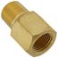 1/2" NPT Brass Pressure Snubber for Water, Steam, Gasoline & Light Oils (Lead Free)