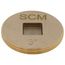 3" Brass Countersunk Cleanout Plug