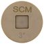 3" Brass Countersunk Cleanout Plug