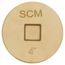4" Brass Countersunk Cleanout Plug
