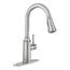 Conneaut 1 Handle High Arc Pulldown Kitchen Faucet, 87801SRS (Spot Resist Stainless)