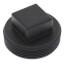 2" Square Head Polypro Cleanout Plug (Black)