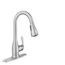 Kaden One-handle Pulldown Kitchen Faucet (Spot Resist Stainless), 87966SRS