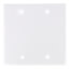 2-Gang No Device Blank Wall Plate, Box Mount (White)