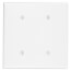 2-Gang No Device Blank Wall Plate, Strap Mount (White)