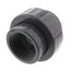 2" PVC Sch. 80 Union With EPDM O-Ring Seal (S x FPT)