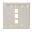 Dual-Gang Quickport, Wallplate w/ ID Windows, 3-port (Light Almond)