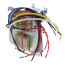 Fan Center, 120/208/240 Primary, 24 VAC Secondary, DPDT Relay