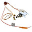 FV Pilot Assembly, 200°, 100110946