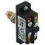 Snap Switch 600VAC 15 Amp AP +Options, 9007AP221