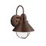Seaside 12" 1 Light Outdoor Wall Light w/ Glass Globe (Olde Bronze)