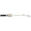 Igniter Kit (208/230V), 903179