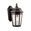 Courtyard 11" 1 Light Outdoor Wall Light w/ Clear Seeded Glass in Rubbed Bronze