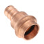1/2" Press x PEX Adapter