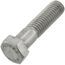 Capscrew Stainless Steel 1/2-13 X 2"lg Hh   