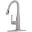 Essa Single Handle Pull-Down Kitchen Faucet (Arctic Stainless, DST), 9113-AR-DST