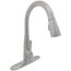 Essa Single Handle Pull-Down Kitchen Faucet (Arctic Stainless, DST), 9113-AR-DST