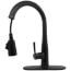 Essa Single Handle Pull-Down Kitchen Faucet (Matte Black)