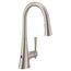 Kurv 1 Handle Pulldown Kitchen Faucet, 1.5 GPM, 9126EWSRS (Spot Resist Stainless)