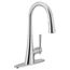 Kurv Chrome 1 Handle Pulldown Kitchen Faucet, 9126