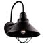Seaside 16.5" 1 Light Outdoor Wall Light (Black)