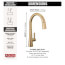Monrovia Single Handle Pull-Down Kitchen Faucet (Lumicoat Champagne Bronze), 9191-CZ-PR-DST
