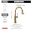 Cassidy Single Handle Pulldown Kitchen Faucet (Lumicoat Champagne Bronze), 9197-CZ-PR-DST