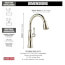 Cassidy Single Handle Pulldown Kitchen Faucet (Lumicoat Polished Nickel), 9197-PN-PR-DST