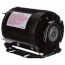 1/4 HP 115v Fan and Blower HVAC/R Motor, 1 PH, 1800 RPM, 48Z Frame, ODP