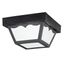 8.5" Polypropylene 1 Light Flush Mount w/ Frosted Glass (Black)