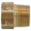 PBGH6, 3/4" x 3/4" Garden Hose Adapter (Female Hose Thread to MIP)