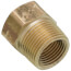 PBGH6, 3/4" x 3/4" Garden Hose Adapter (Female Hose Thread to MIP)