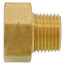 LFA-677 PBGH6, 3/4" x 1/2" Garden Hose Adapter (Female Hose Thread to MIP)