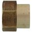 LFA-672 PBGH5, 3/4" x 1/2" Garden Hose Adapter (Brass Female Hose to Female Pipe Thread Adaptor)