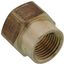 LFA-672 PBGH5, 3/4" x 1/2" Garden Hose Adapter (Brass Female Hose to Female Pipe Thread Adaptor)