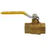 3/4" Full Port Economy Threaded Ball Valve