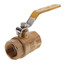 1" Full Port Economy Threaded Ball Valve
