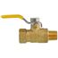 1/4" FNPT x MNPT Full Port Mini Ball Valve