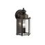 10.5" Light Wall Light (Olde Bronze)