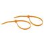 Cable Ties (1000 per Box)