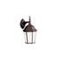 Madison 14.75" 1 Light Outdoor Wall Light w/ Clear Beveled Glass (Tannery Bronze)