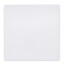 12" Plastic Access Panel