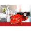 RL-SWJ50 1/2 HP, 12.6 GPM DualVage (115/230Vs) Cast Iron Shallow Well Jet Pump (Red)