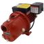 RL-SWJ50 1/2 HP, 12.6 GPM DualVage (115/230Vs) Cast Iron Shallow Well Jet Pump (Red)