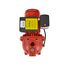 RL-SWJ100 1 HP, 17 GPM DualVage (115/230Vs) Cast Iron Shallow Well Jet Pump (Red)