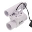 Safe-T-Switch Model SS1
