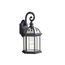 Barrie 15.5" 1 Light Outdoor Wall Light w/ Clear Beveled Glass (Black)