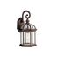 Barrie 15.5" 1 Light Outdoor Wall Light w/ Clear Beveled Glass (Tannery Bronze)