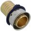  3/4" PEX Press x 3/4" Polybutylene Adapter w/ Sleeve (Lead Free)