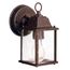 Barrie 8.5" 1 Light Outdoor Wall Light w/ Clear Beveled Glass (Tannery Bronze)